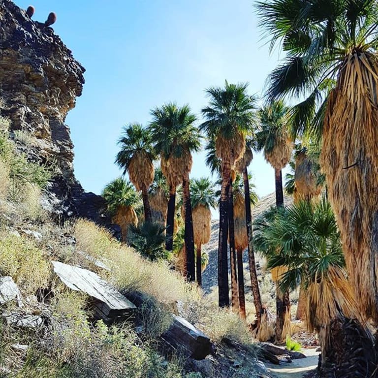 2. Indian Canyons inception-app-prod/MTExNzI4M2ItMjVkNC00Y2M0LWJmZjAtOGI0ZTUwMDVmNzNh/content/2023/01/d73d485576a7c7ebb8e9e75bf4b99b04a9c53c3b.jpg