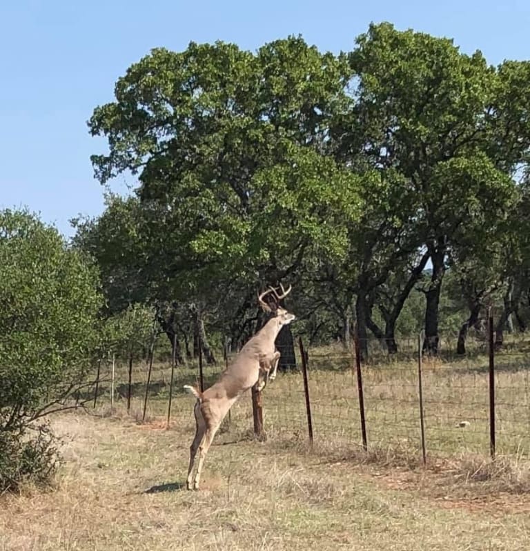 How can we assist you? inception-app-prod/MjBjNWMxZGItMDRiOS00MmUyLWIwZTItYzZlZTE3ODg4Nzg0/content/2021/02/09a2be18c12adf4ce0a455f09178344d.jpg