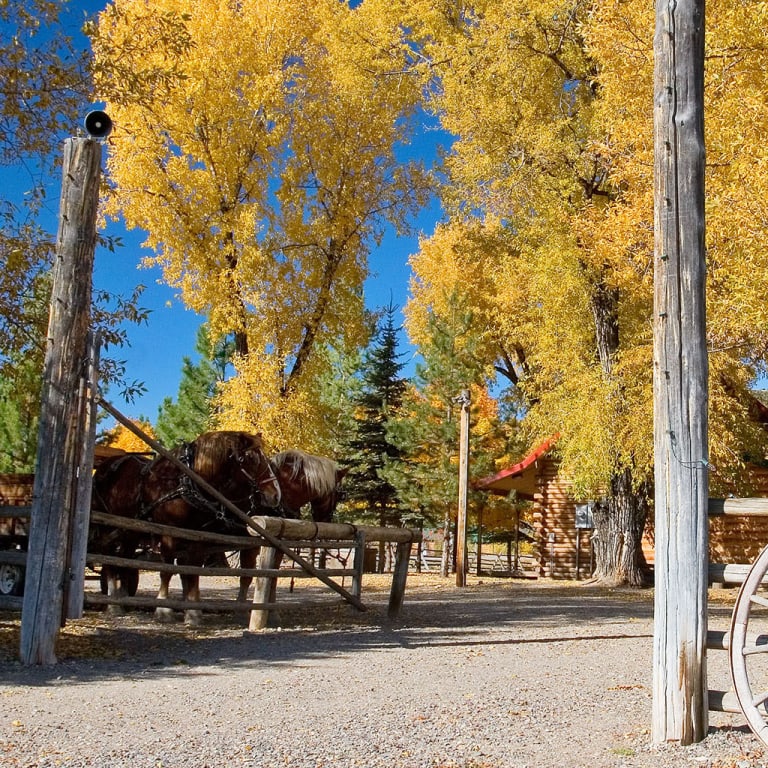 Inspirations inception-app-prod/MjBjNWMxZGItMDRiOS00MmUyLWIwZTItYzZlZTE3ODg4Nzg0/content/2021/02/shutterstock3195347-2.jpg