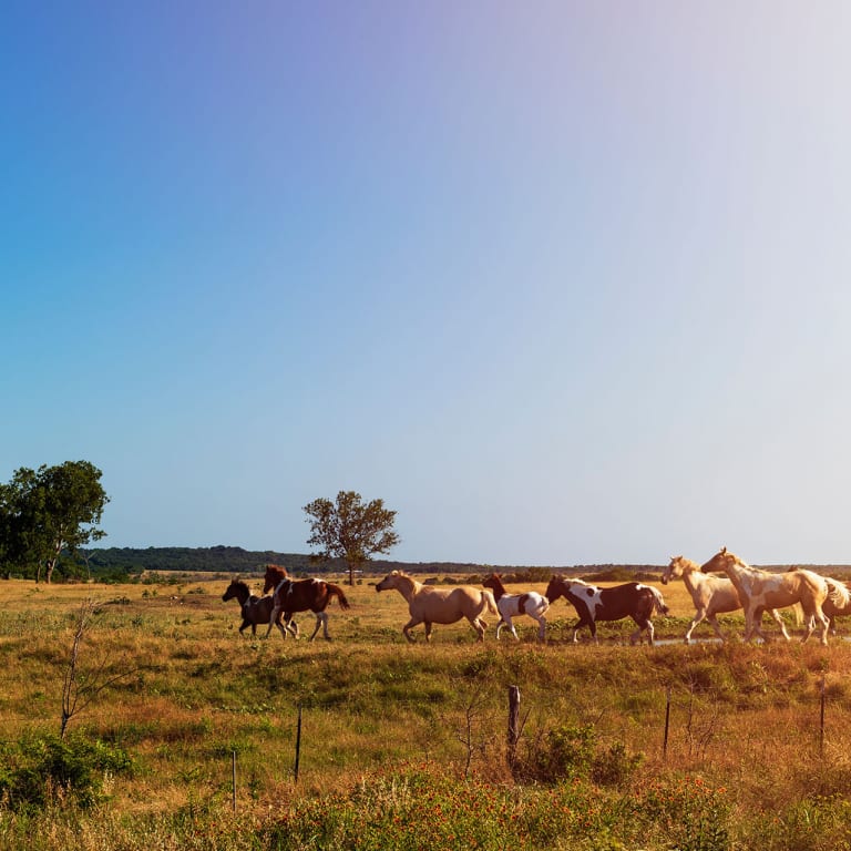 Inspirations inception-app-prod/MjBjNWMxZGItMDRiOS00MmUyLWIwZTItYzZlZTE3ODg4Nzg0/content/2021/02/shutterstock777277732-2.jpg