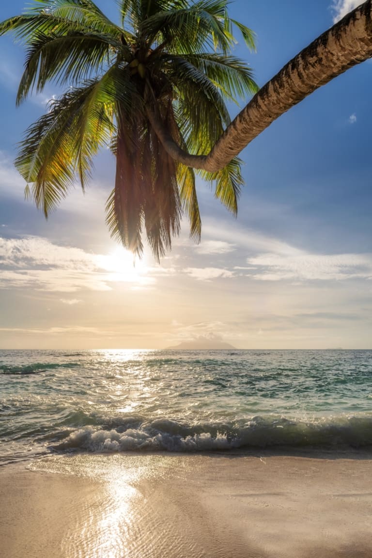 Let’s Discuss Your Florida Real Estate Goals inception-app-prod/NWI3YmJiMDQtYzJjOS00YzQwLWFmMGUtZmFiNzcwNmEwNGFi/content/2026/03/5cad115619aecb855687b38291c5bc7c5f115917.jpg