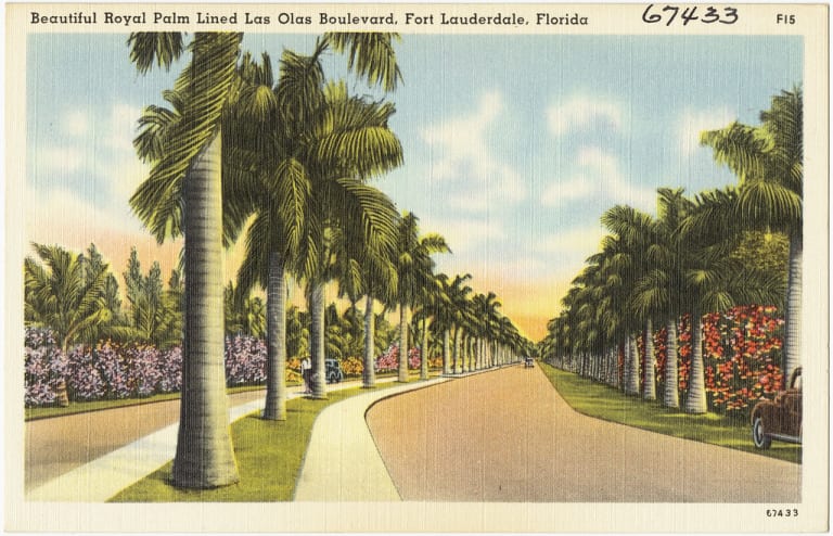 <p>Fort Lauderdale Through the Lens</p> inception-app-prod/NjkxYzNhMzAtZWUwOC00MDZlLThlYmEtMDhiOWU5ZGVkNDFj/content/2026/05/20ab114caaac2efc50feac1ec4ca288d55d0d5ed.jpg