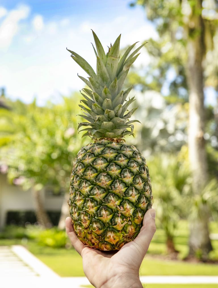 Our Story inception-app-prod/OTE1MjY0YmQtZWY2NS00NzAwLWE0ZTgtMjU2MzY0MDk0MDZi/content/2024/04/389763ea56f26dac85a80d62ede37051505460dd.jpg