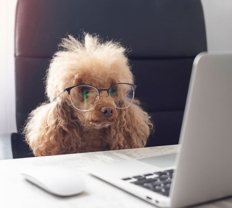 Get in touch inception-app-prod/OTM4YzA4OGItNTI3ZC00NDVhLWI1MWMtZTkyY2UxYzUyYTI5/content/2021/02/traverse-city-real-estate.jpg