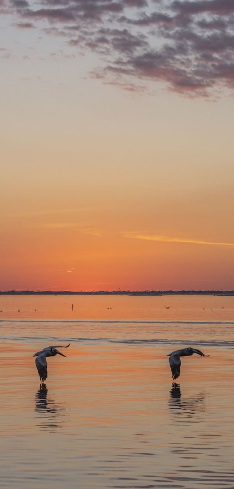 Cass Real Estate Portland Texas Homes For Sale & Rent Serving