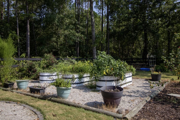 183 Bridle Creek Trail, Aiken, South Carolina inception-app-prod/YmYyNGJjMWEtYjQ2NS00ZGE5LTgxOGQtM2EwMzJhMmE1NzEz/content/2024/08/c2ec66878e800446a8a62d478feab491253a8819.jpg