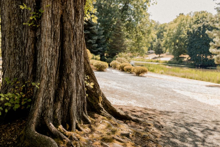 Rodman Realty, Inc. inception-app-prod/YzRhNTY4NjctODBjNS00OGIzLWIyY2EtZWJkNmM2NmUzNzMz/content/2023/07/4084241ec77f82d086ddad6496c24f9a58b73575.jpg