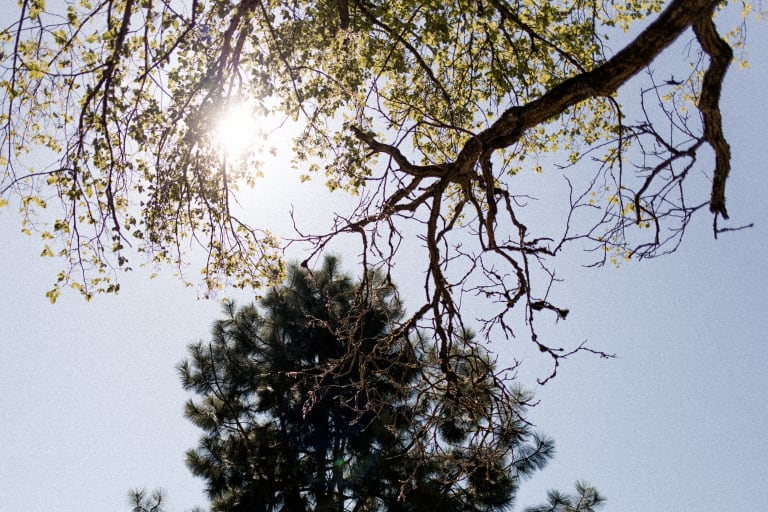 Rodman Realty, Inc. inception-app-prod/YzRhNTY4NjctODBjNS00OGIzLWIyY2EtZWJkNmM2NmUzNzMz/content/2023/07/4b4d8ba0ea2da13fe6134d5adb55186b4e80b79d.jpg