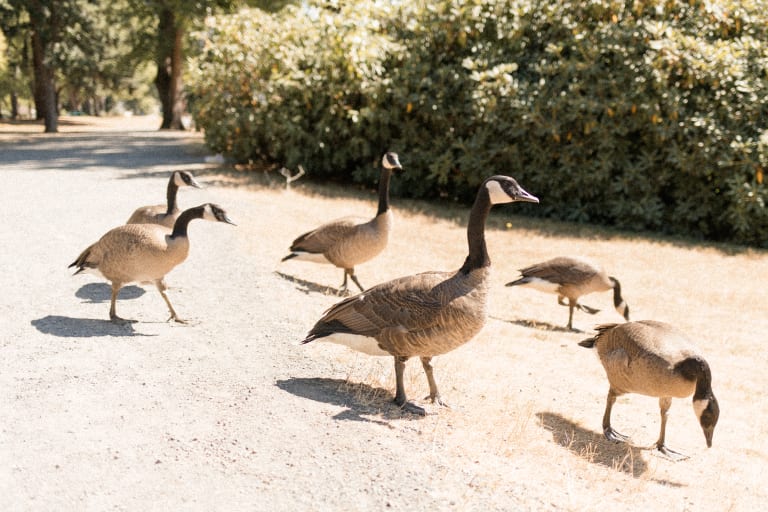 Rodman Realty, Inc. inception-app-prod/YzRhNTY4NjctODBjNS00OGIzLWIyY2EtZWJkNmM2NmUzNzMz/content/2023/07/f7afaca13f0d0814562ed06b8e23b22e41f9aac4.jpg