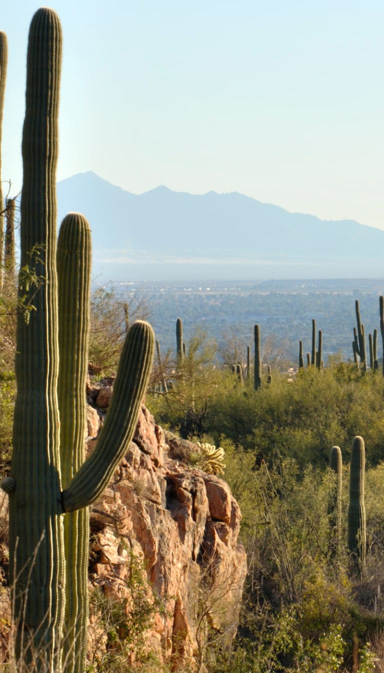 <font color="#2c4e79">Get a Free Home Valuation from Kate!</font> inception-app-prod/ZDQ0MTlkOGQtM2MyOS00MGRiLThkMTAtN2NmODVkZTVjM2U2/content/2023/11/e5b43cb236d83092003bc411cd824ac85876166a.png