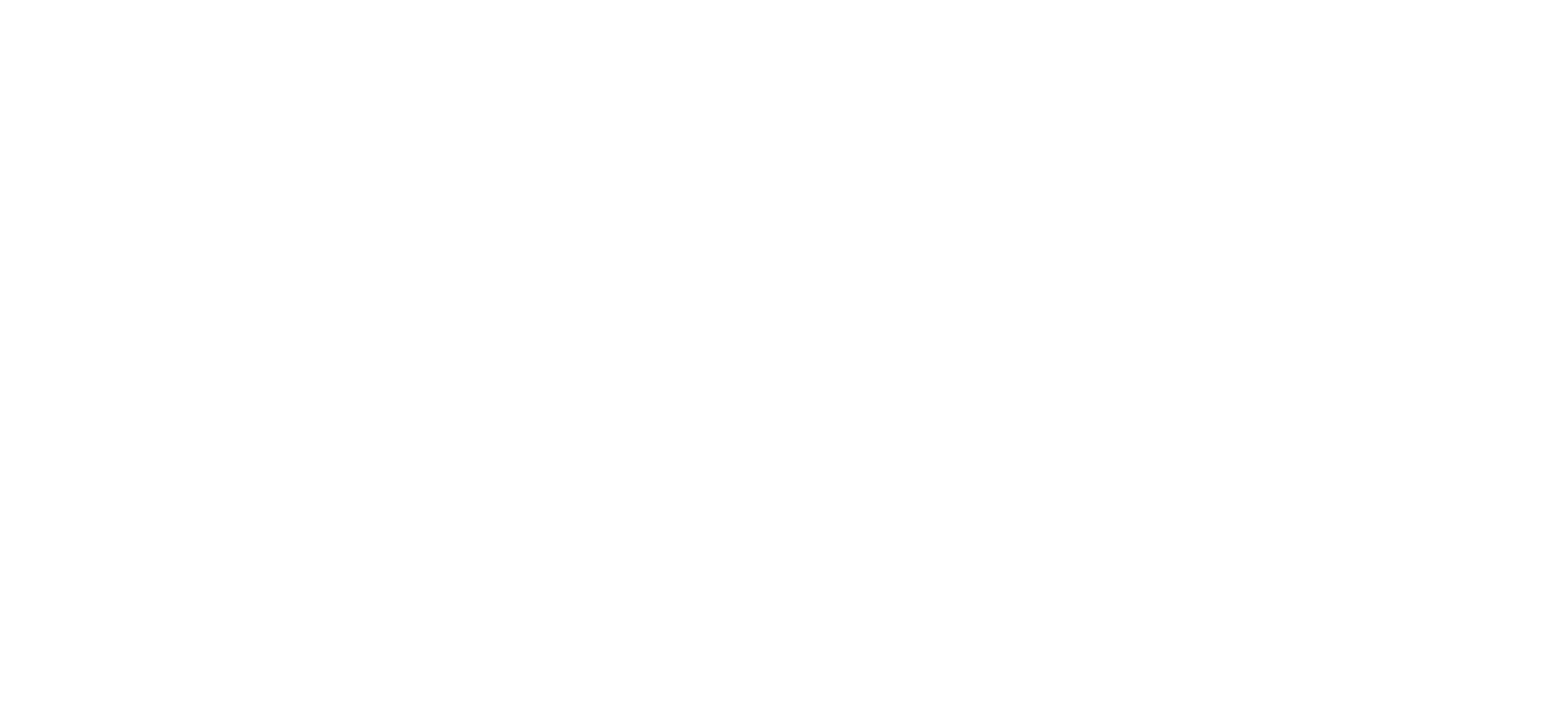 arizonapremierpropertygroup.com logo