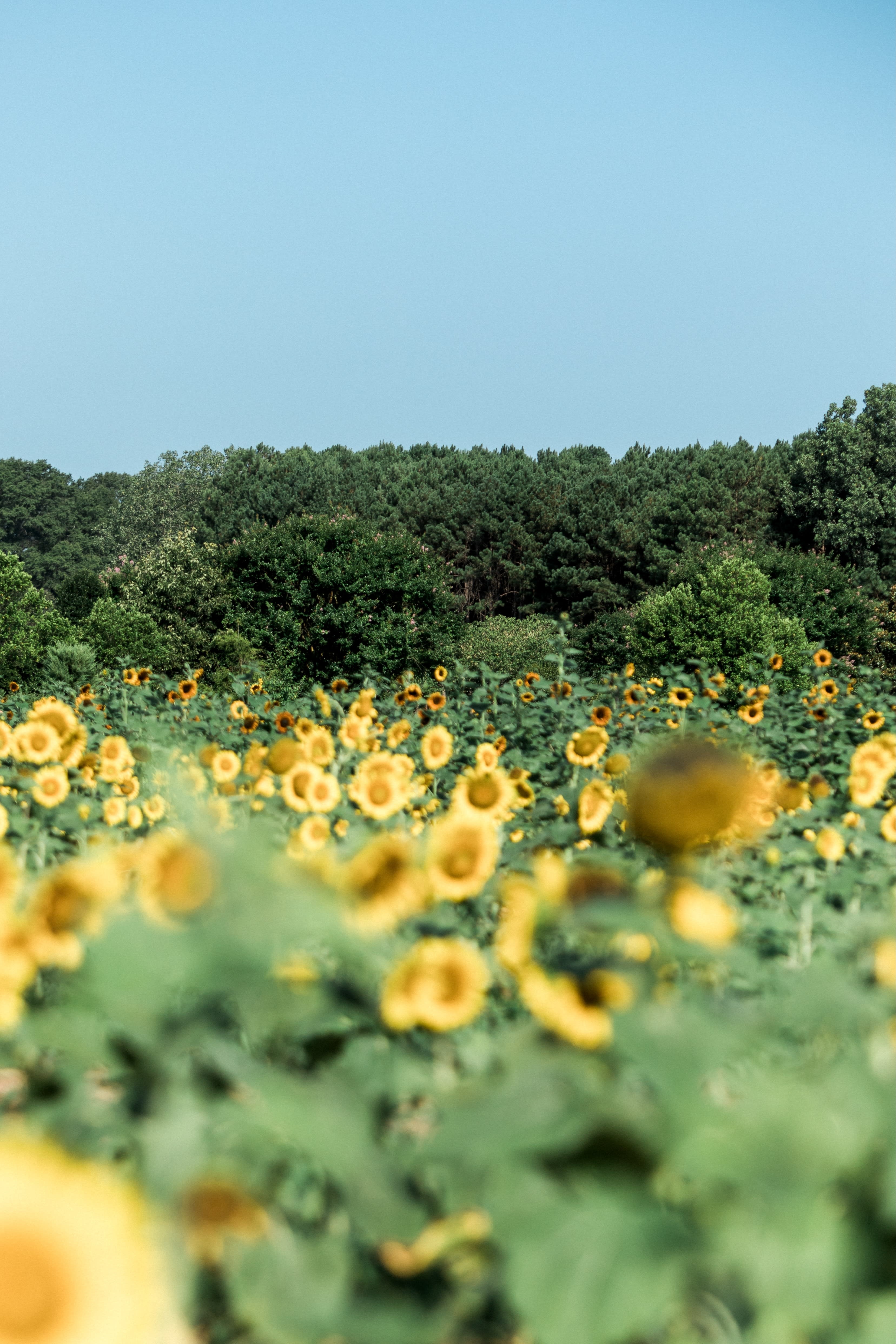 Find Your New Home inception-app-prod/M2M5YWU0MWYtMzc4Zi00NDczLWJjZDYtOGE2Y2YyZjI1NzE3/content/2020/07/jenna-day-guezsicdffs-unsplash.jpg