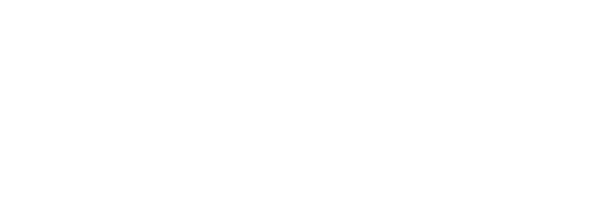 Bronson Real Estate logo