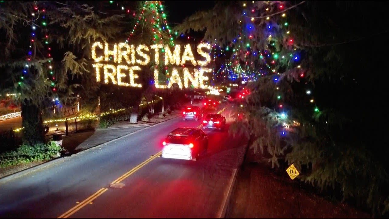 A Festive Tradition: The History of Christmas Tree Lane in Fresno inception-app-prod/M2U4MGFjMmYtMzk4YS00NmJmLTgzN2YtZGY2ZTZhNDkyNWE3/content/2024/12/ec84b7c78fc909d0b728fc5f448cc12de19dd09f.jpg