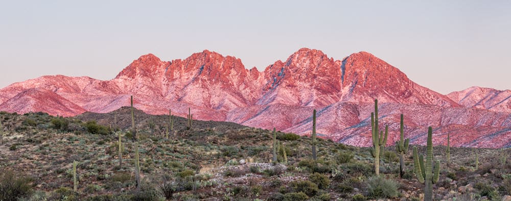 Why Fall Is the Best Time to Buy a Home in Metro Phoenix inception-app-prod/M2Y0NzM4NmUtY2YxMC00OTJjLTg3YjYtMWE0YmIyMzhiYjNj/content/2025/10/e70995cbec822a6afa260cef0e625e2c8074cd93.jpg