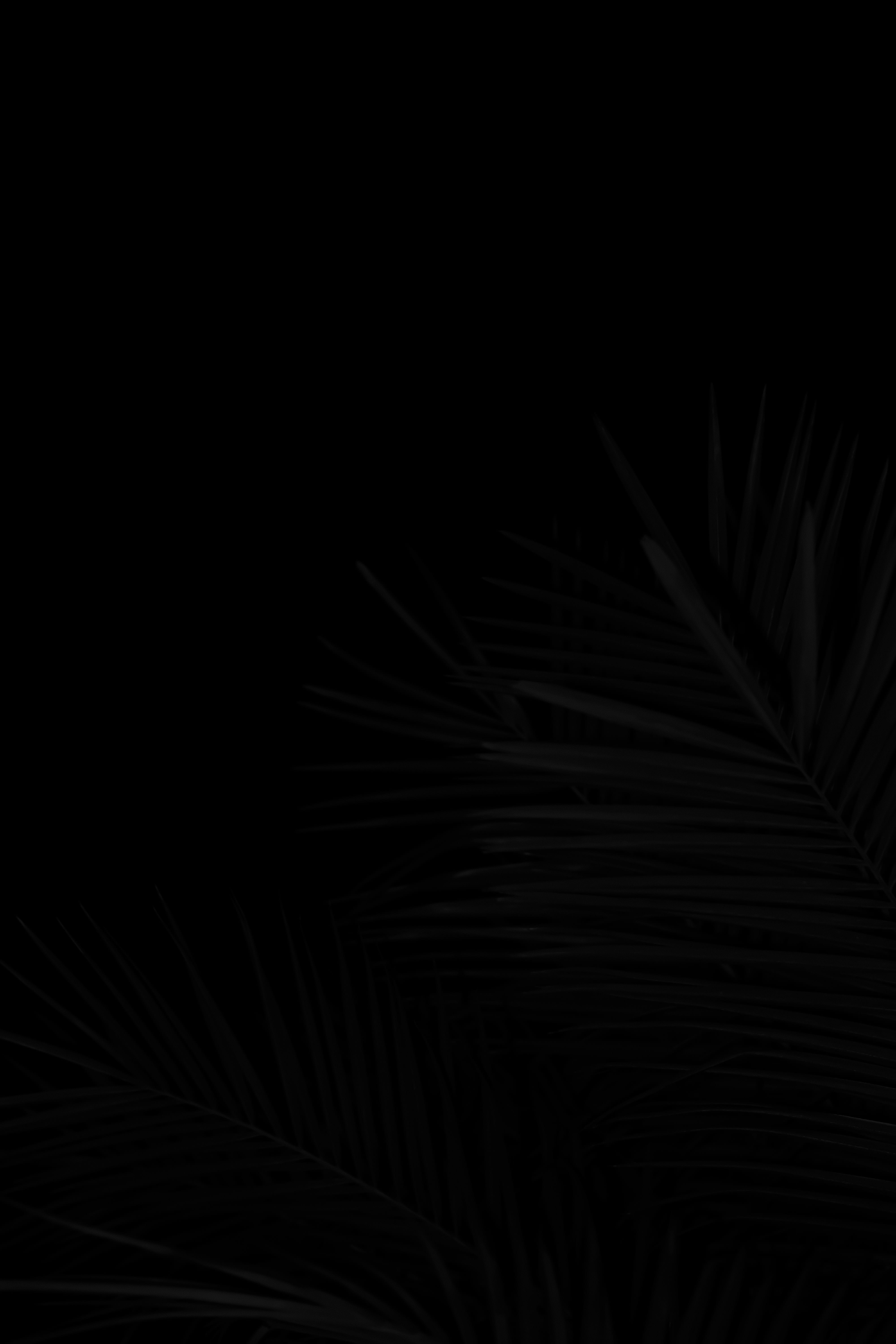 inception-app-prod/M2Y2ZDY3NDMtNjQ4Ny00NTgzLWFjNTAtYTFiZDMwZGM3MzAy/content/2025/12/2523a0ad14041eef12ae3b0ffd1103c933ffb019.jpg