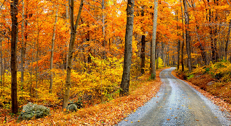 4 Reasons to Buy a Home This Fall! inception-app-prod/M2ZiYTZhMWEtNjY5OC00MGQxLWEyN2YtNjVhZTE4MWFjOGUz/content/2017/09/20170911-Share-STM.jpg