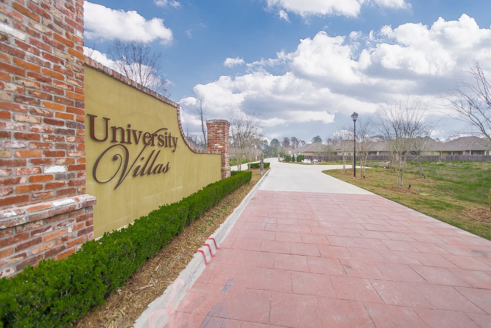 LSU area inception-app-prod/MDEzOTk5ZmUtOTYwYi00Mjk2LWFmOWEtNzAyMDliMWJkNmVm/content/2017/03/DSC_9231.jpg