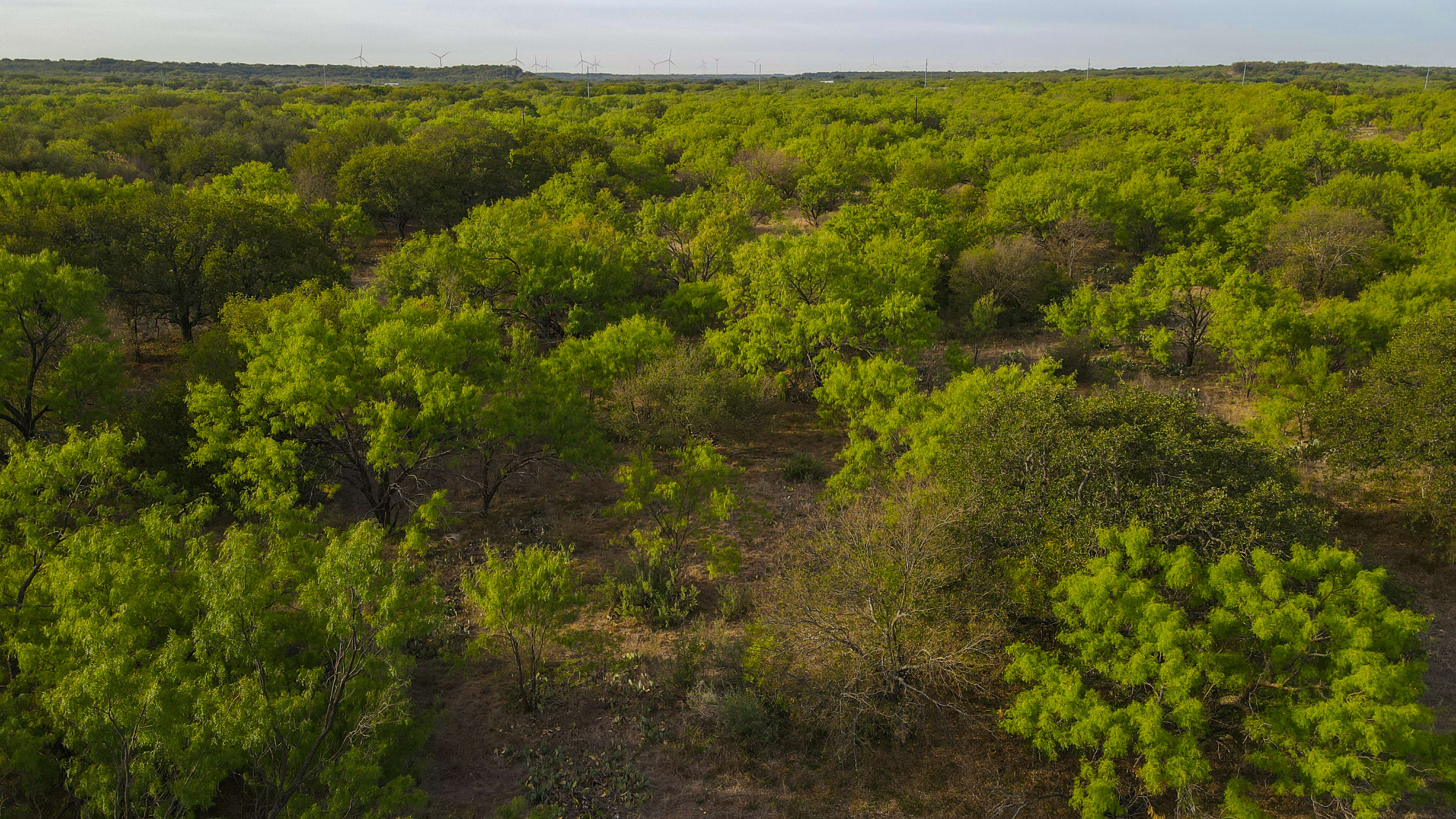 Jones County Listings inception-app-prod/MDI2NmQyNDYtMTA0Ny00NGE4LTgzZTktMjU5ZTg1N2FmMTkw/content/2024/06/17373096db4b9e3493ef772b72ebf180664a9fe7.jpg