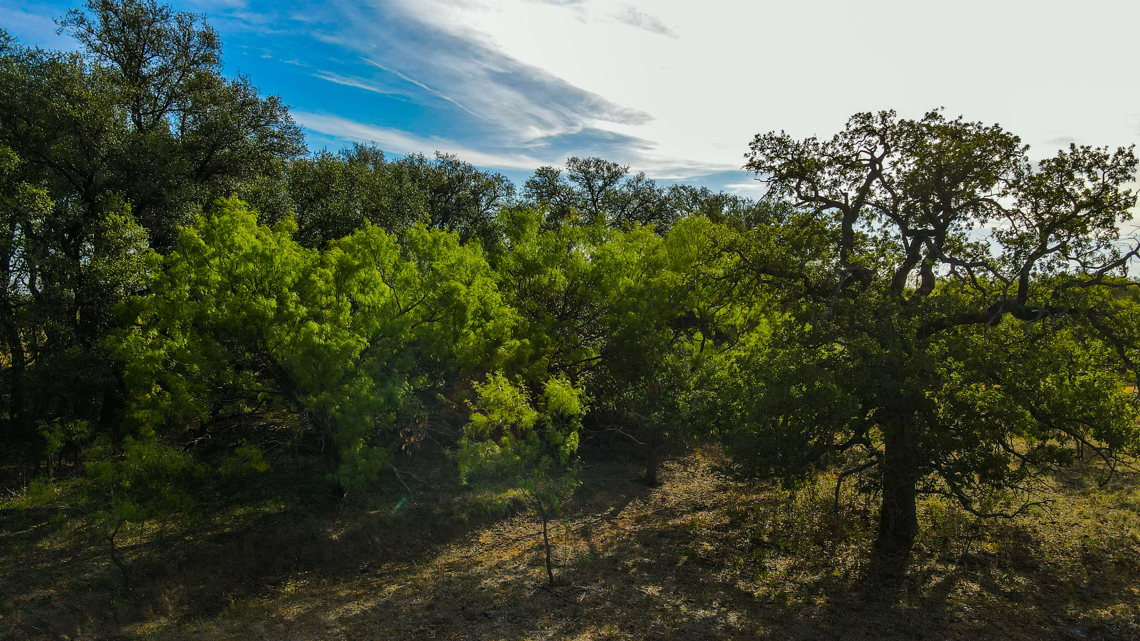 Montague County Listings inception-app-prod/MDI2NmQyNDYtMTA0Ny00NGE4LTgzZTktMjU5ZTg1N2FmMTkw/content/2024/06/5253656e9412d3f77a0bca2b96572087a9bf4756.jpg