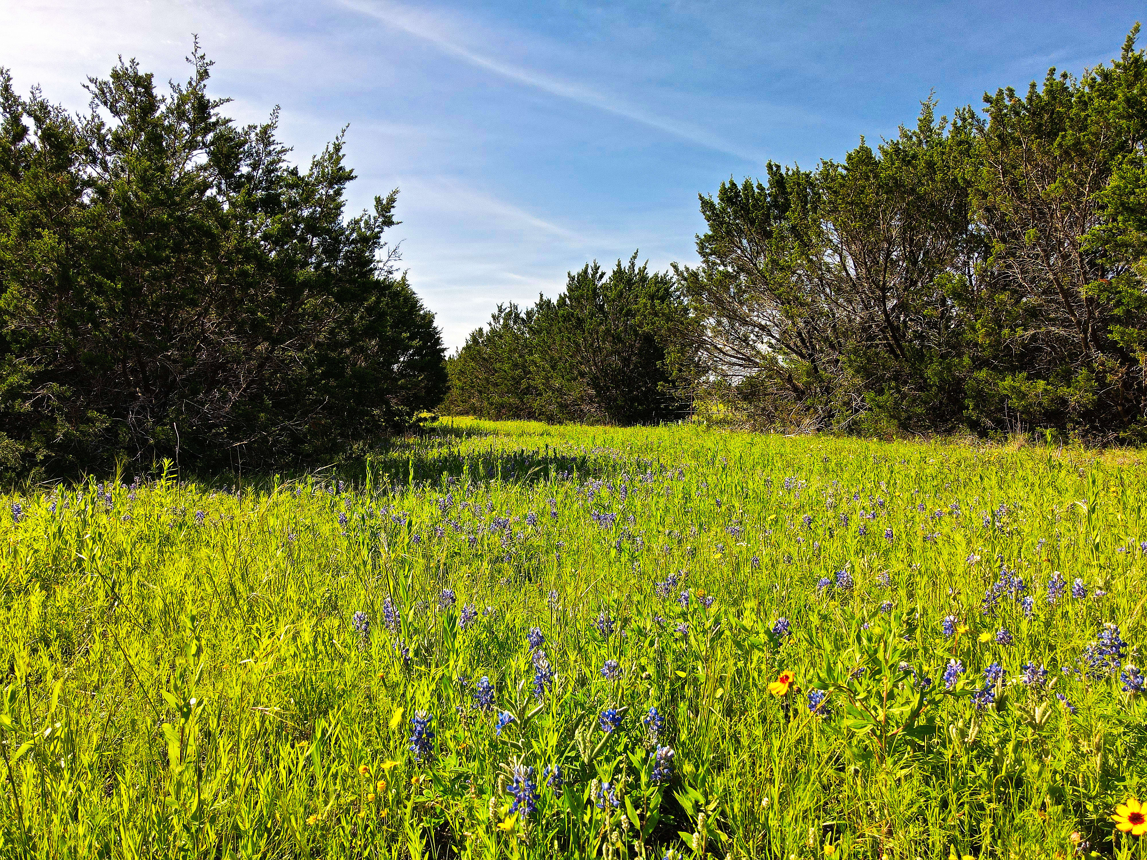 Somervell County Listings inception-app-prod/MDI2NmQyNDYtMTA0Ny00NGE4LTgzZTktMjU5ZTg1N2FmMTkw/content/2024/06/96f5b7bccb73d59cc3e678132e4a531a41262915.jpg