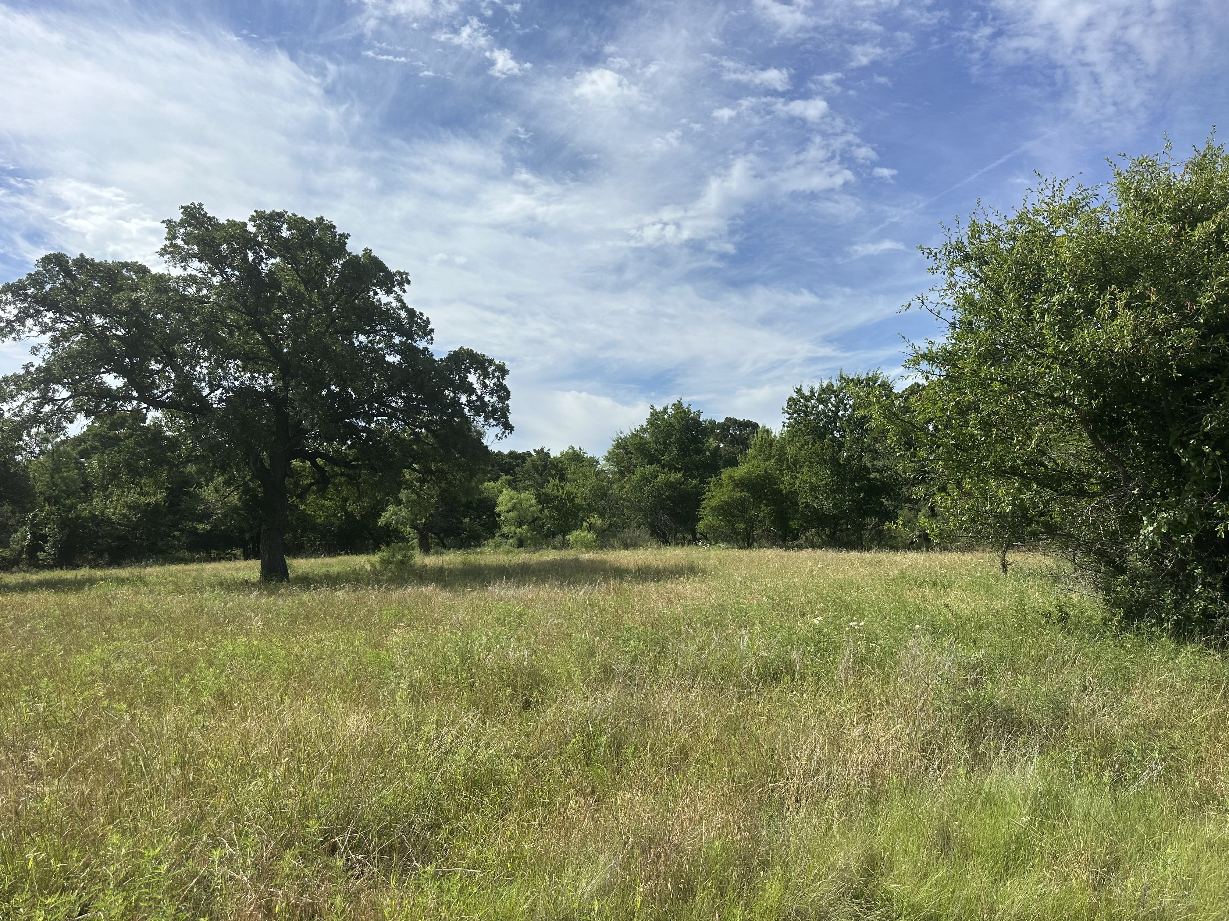 10.01 Acres (Lot 7) Barry Road Henrietta, TX 76365 inception-app-prod/MDI2NmQyNDYtMTA0Ny00NGE4LTgzZTktMjU5ZTg1N2FmMTkw/content/2026/06/0f2ab7ea269f1adce8be4dae2f30766291f02c73.jpeg