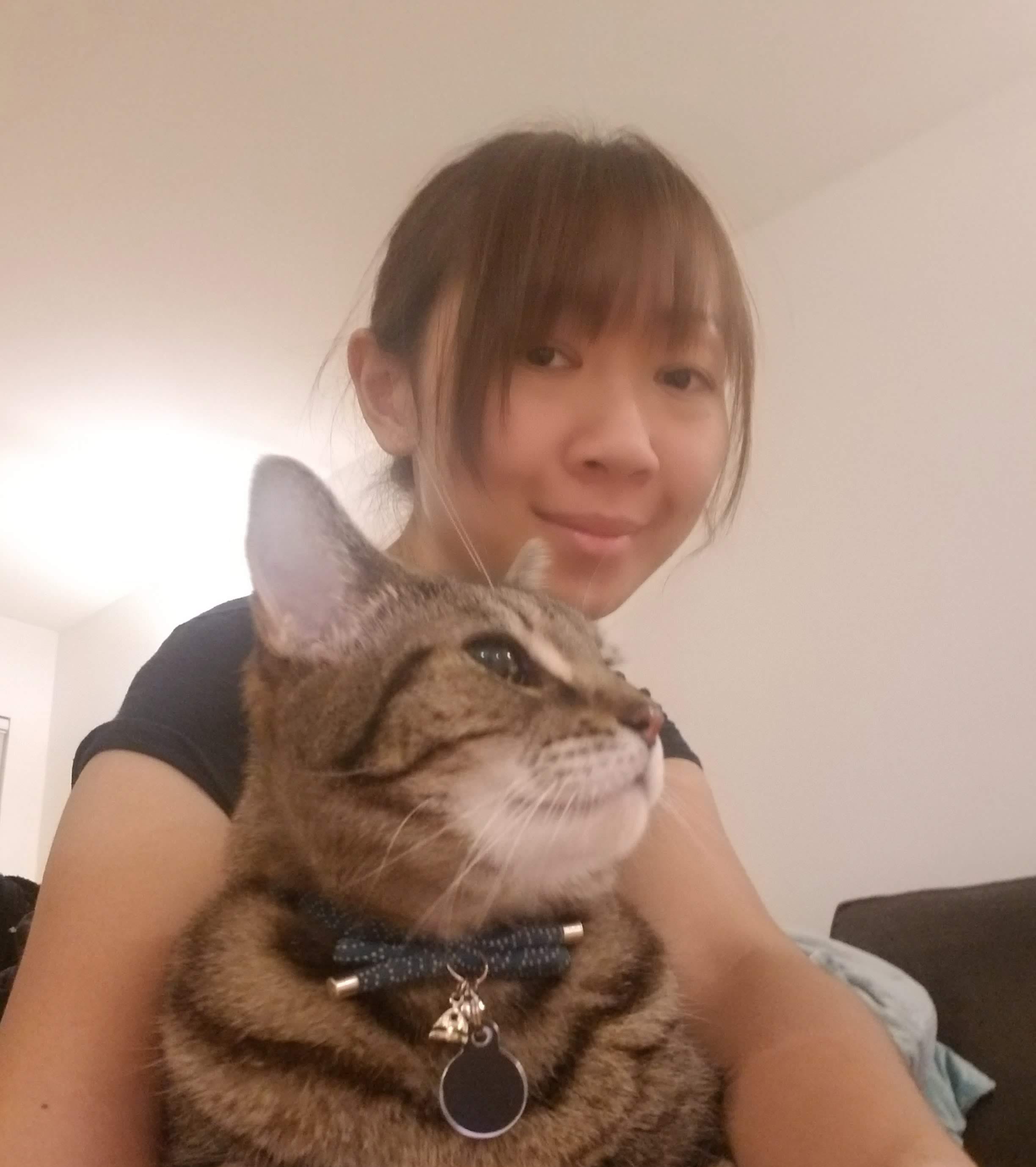 My 2019 inception-app-prod/MDIxN2ZjOWQtMDhlYS00ZDE0LTkxMWYtMmUwMzBjMTc2NzI1/content/2019/12/catme.jpg