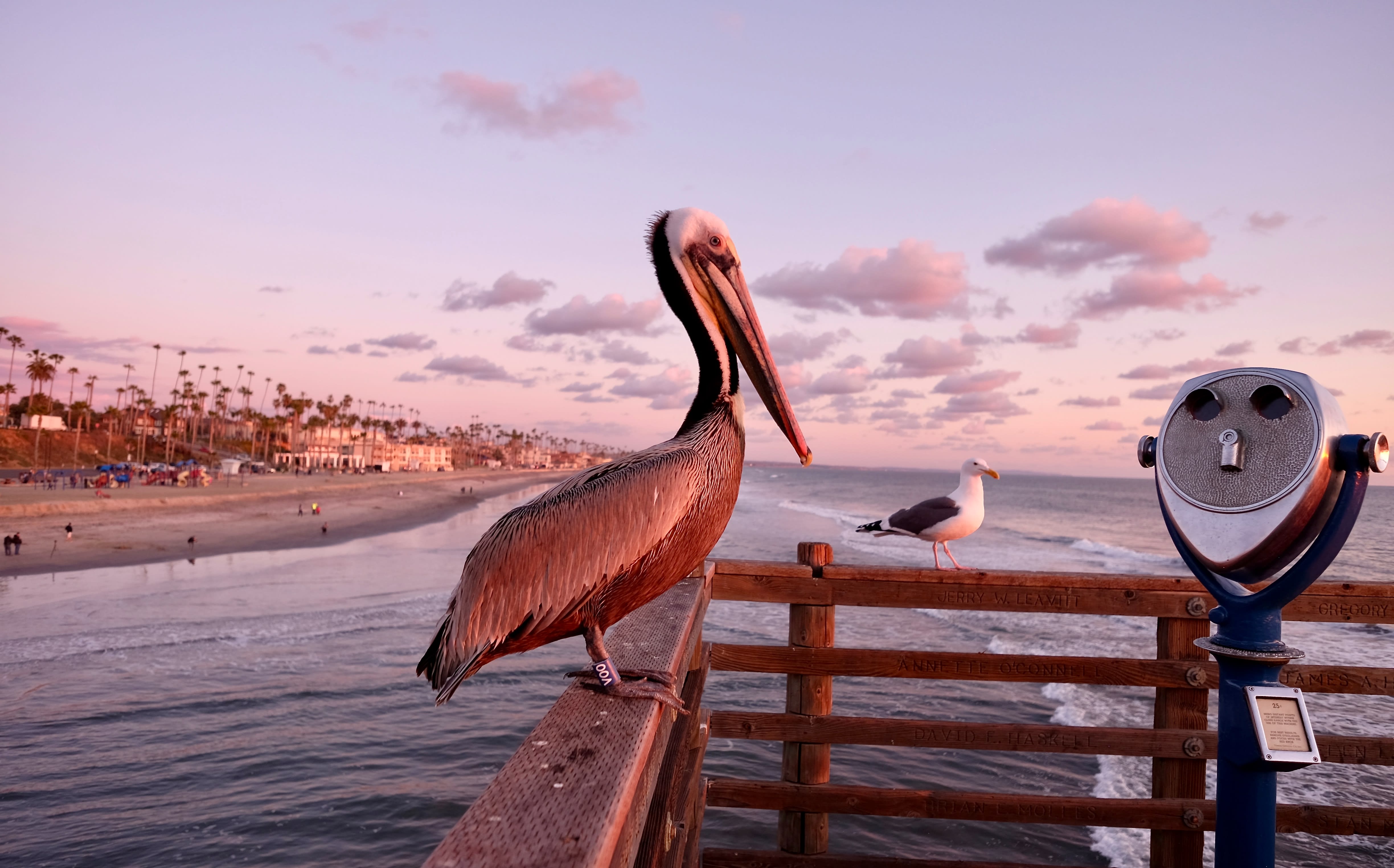 Oceanside inception-app-prod/MDM2NGE3MGQtODBhNy00NGUyLThkZTgtZjM4NzljNzdmZjQy/content/2023/06/402ebbf5937d3b515b04ec0213a77bd7b2e79ec6.jpg
