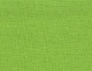 inception-app-prod/MDQwNjliN2YtMWViOC00MmJjLTkxZTAtMjY0MjAzNGQyMWZl/content/2017/01/Greenery Pantone 2017 color.jpg