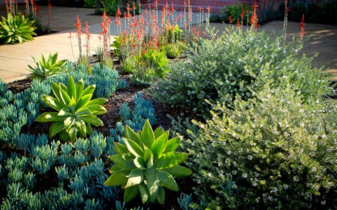 How to Maintain Your Garden to Ensure Its Long-Term Health inception-app-prod/MDQwNjliN2YtMWViOC00MmJjLTkxZTAtMjY0MjAzNGQyMWZl/content/2020/08/picture2.jpg