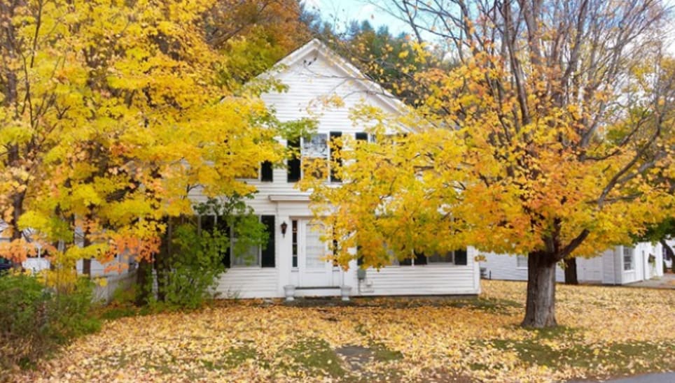 Simple Ways to Spruce Up Your Home for Thanksgiving inception-app-prod/MDQwNjliN2YtMWViOC00MmJjLTkxZTAtMjY0MjAzNGQyMWZl/content/2020/11/picture1-2.png