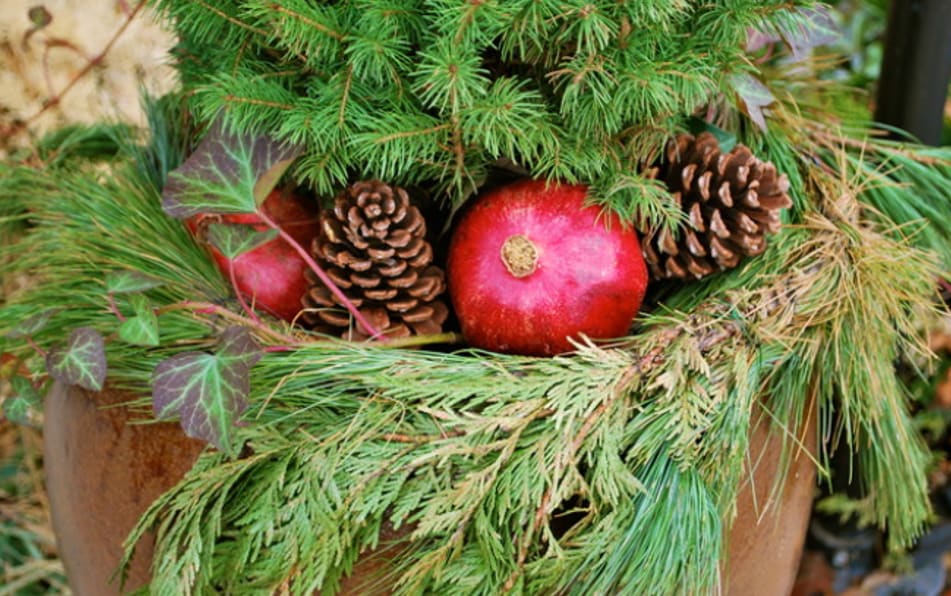 Last-Minute Ideas for Attractive Winter Container Designs inception-app-prod/MDQwNjliN2YtMWViOC00MmJjLTkxZTAtMjY0MjAzNGQyMWZl/content/2020/12/picture1-2.png