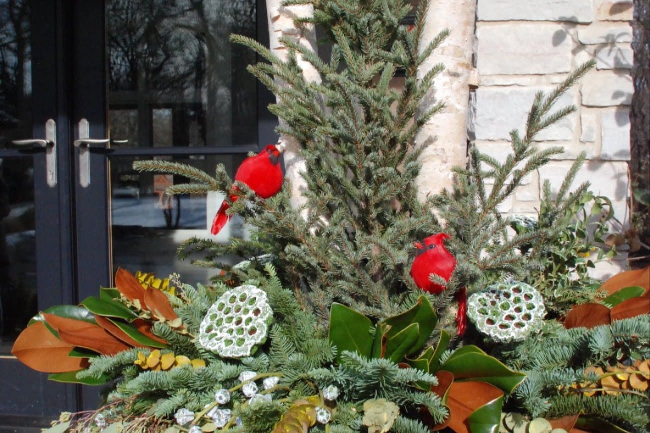 10 High-Impact Ideas to Dress Up Your Winter Containers inception-app-prod/MDQwNjliN2YtMWViOC00MmJjLTkxZTAtMjY0MjAzNGQyMWZl/content/2022/12/b510028862ba8168eba0d74263a8aa16d457be64.jpg