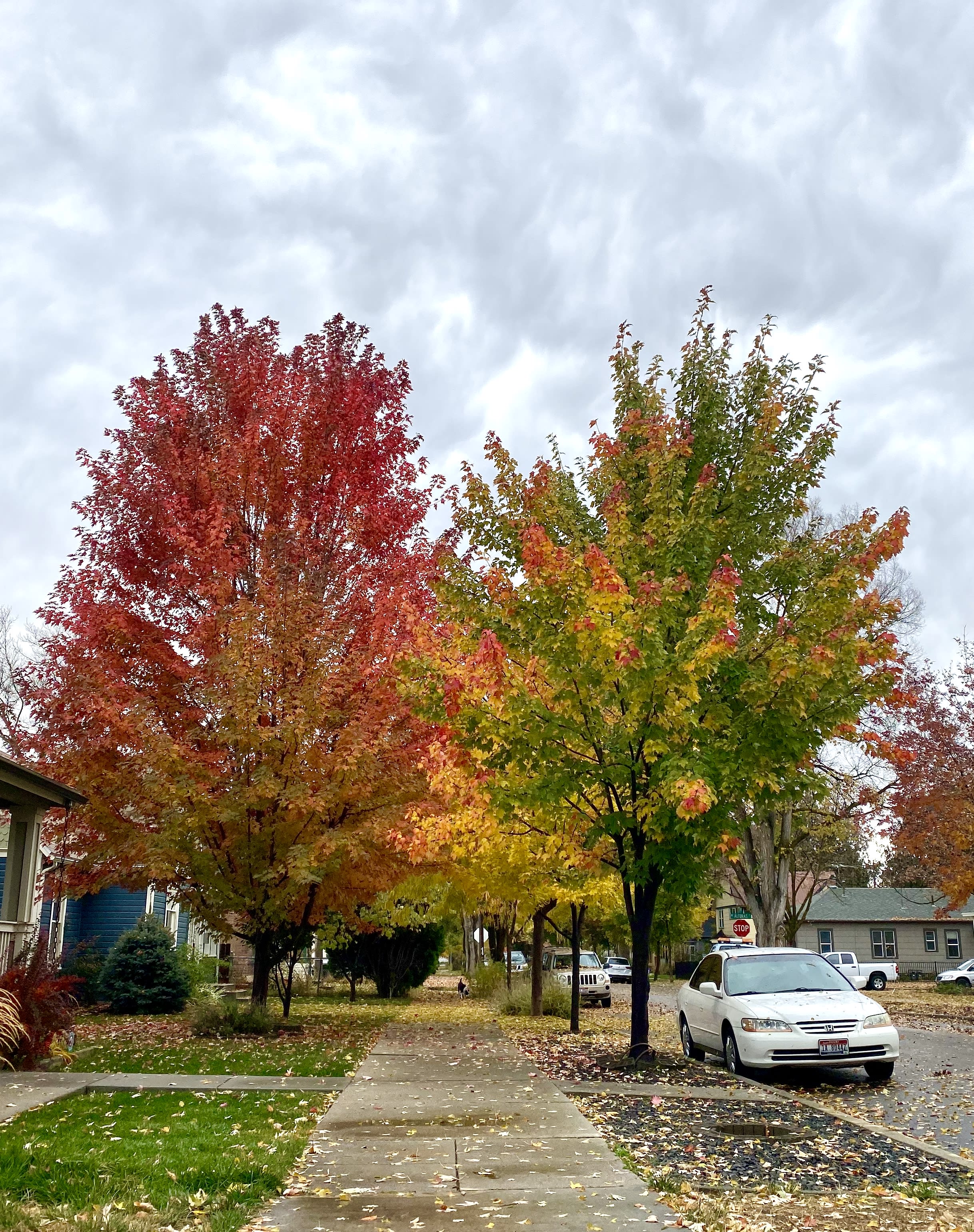 Fall Is a Great Time to Sell Your House inception-app-prod/MDRiYTdlMGQtYzNkNC00OGUzLWFjNmEtZjQyN2QxZTdjYTU2/content/2019/10/img8292-2.jpg