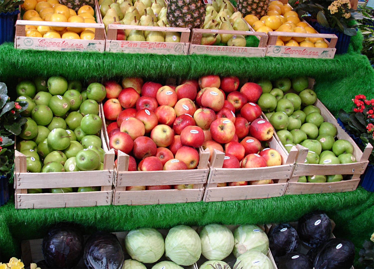 inception-app-prod/MDRiYTdlMGQtYzNkNC00OGUzLWFjNmEtZjQyN2QxZTdjYTU2/content/2019/11/fruits-1328114.jpg