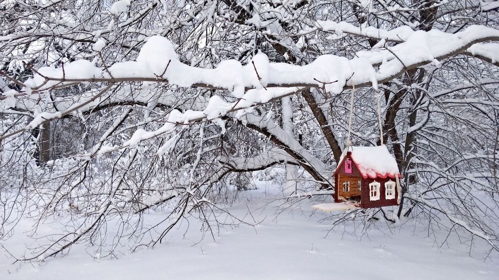 5 Reasons to Sell Before Spring! inception-app-prod/MDRiYTdlMGQtYzNkNC00OGUzLWFjNmEtZjQyN2QxZTdjYTU2/content/2021/01/copyofdollhouse-in-the-forest-1638435.jpg