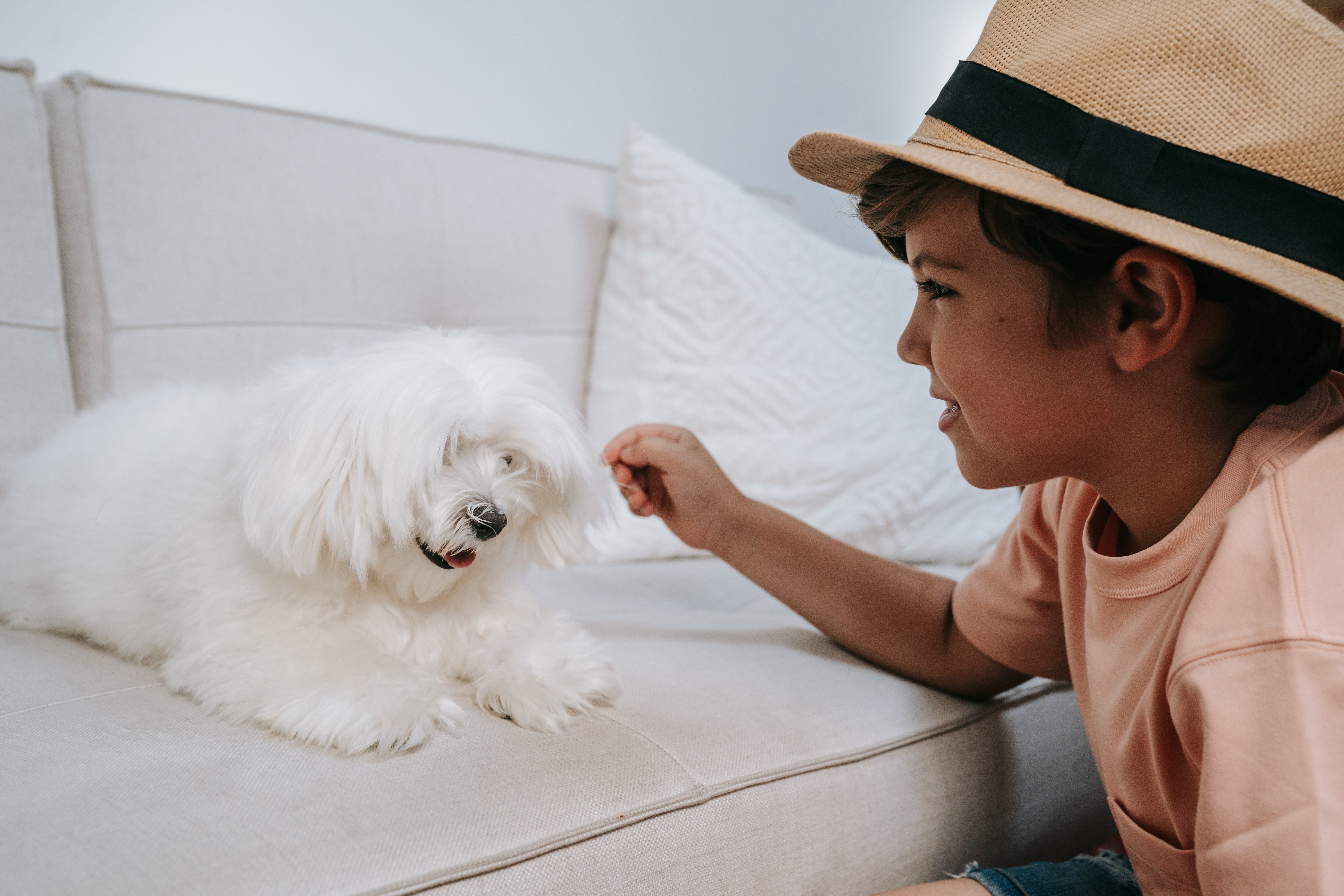 30 Tips for Moving with Kids or Pets inception-app-prod/MDRiYTdlMGQtYzNkNC00OGUzLWFjNmEtZjQyN2QxZTdjYTU2/content/2022/03/3ebc1adf5353a8f3e9fdf7c1b6c437f1377d2015.jpg