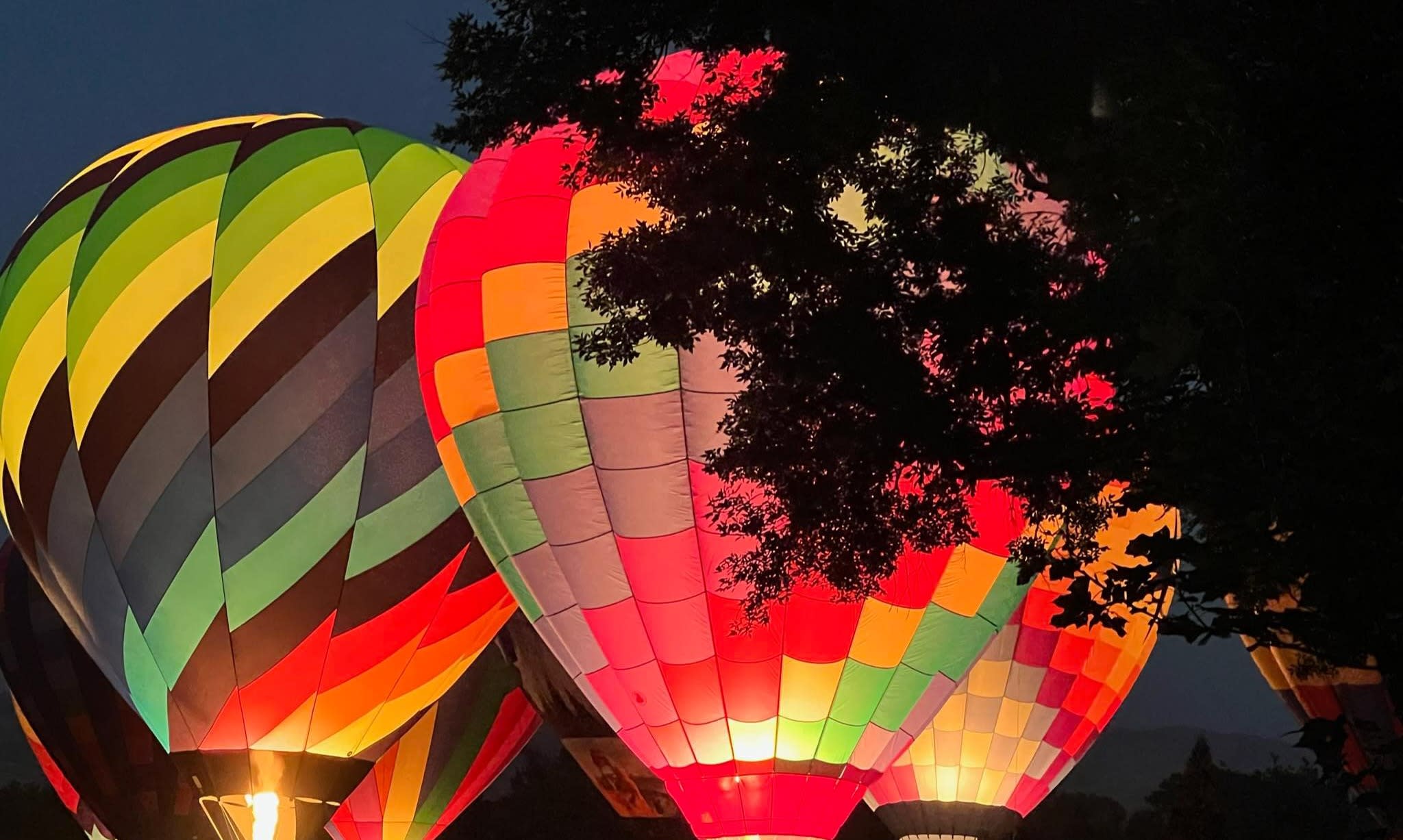 It's Been A Great Year So Far! inception-app-prod/MDRiYTdlMGQtYzNkNC00OGUzLWFjNmEtZjQyN2QxZTdjYTU2/content/2022/10/935c99f3e7ce134b7609734c020d1f7b2aa73f4f.jpg