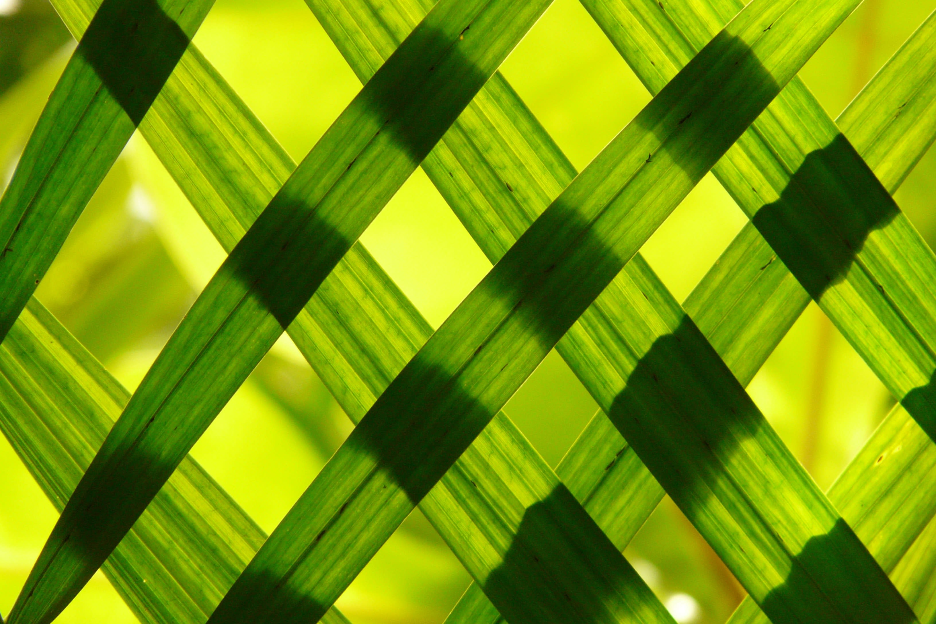 Making Your Home Better for the Environment inception-app-prod/MDRiYTdlMGQtYzNkNC00OGUzLWFjNmEtZjQyN2QxZTdjYTU2/content/2023/04/ec992f613f6588f920c296d70478f726cda1d6ad.jpeg