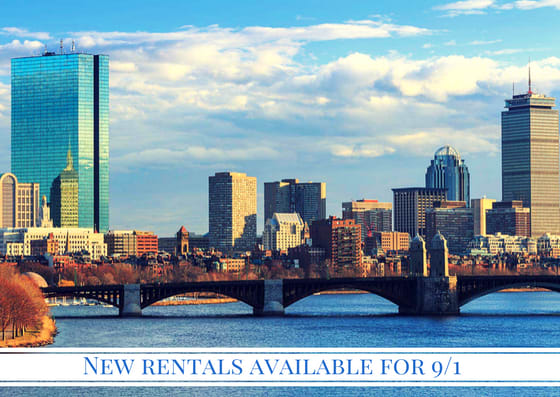 Are You Looking to Rent in the City? inception-app-prod/MDZiZGMwM2UtNjQ4ZC00OGQ3LWI2OWMtYmYxNjMwYjU1MWI4/content/2017/04/RENTALS.png