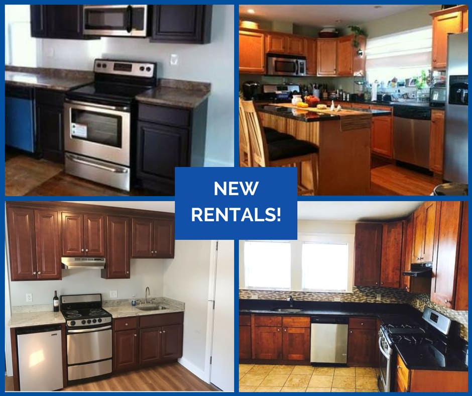 Don't Miss Out On These Beautiful Rentals! inception-app-prod/MDZiZGMwM2UtNjQ4ZC00OGQ3LWI2OWMtYmYxNjMwYjU1MWI4/content/2017/05/RENTALS %281%29.png