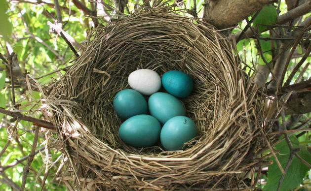 inception-app-prod/MDg3ZWU4OGQtYmNiMi00MmE4LWEwNjAtOTQyOWNjNDY4ZDNk/content/2019/02/Mariel G.Weiss Audubon Real Estate.jpg