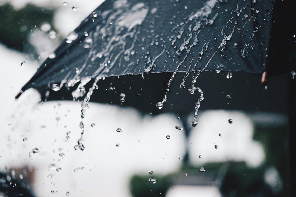 Rain, Rain Go Away! inception-app-prod/MDg3ZWU4OGQtYmNiMi00MmE4LWEwNjAtOTQyOWNjNDY4ZDNk/content/2019/06/2018_09_07_53245_1536304041._large.jpg