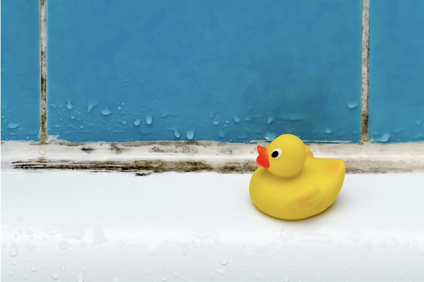 How to Remove Old Caulk in 4 Easy Steps inception-app-prod/MDg3ZWU4OGQtYmNiMi00MmE4LWEwNjAtOTQyOWNjNDY4ZDNk/content/2024/10/196f4f835ecfea722c296ce2ff87b6b07418db6b.png