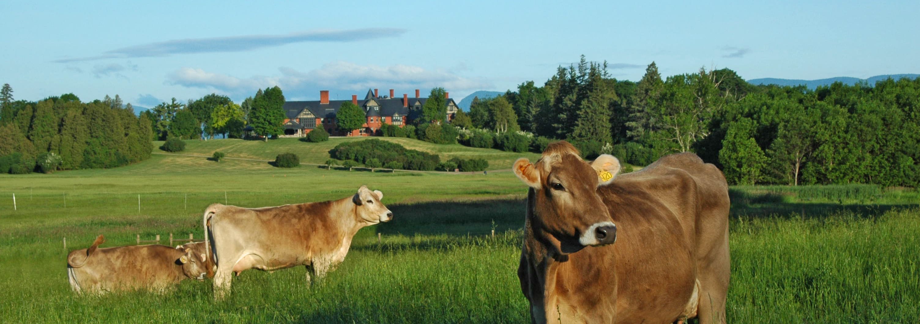 inception-app-prod/MDhhMjIxNzEtMmJlMy00MmZjLWE1MDItY2E0NmYzMjFhYTJh/content/2016/06/Shelburne Farms slideshow.jpeg