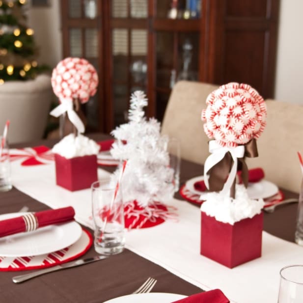 10 Holiday Decorations That Won't Break the Bank inception-app-prod/MDhhMjIxNzEtMmJlMy00MmZjLWE1MDItY2E0NmYzMjFhYTJh/content/2016/06/peppermint-topiary.jpg