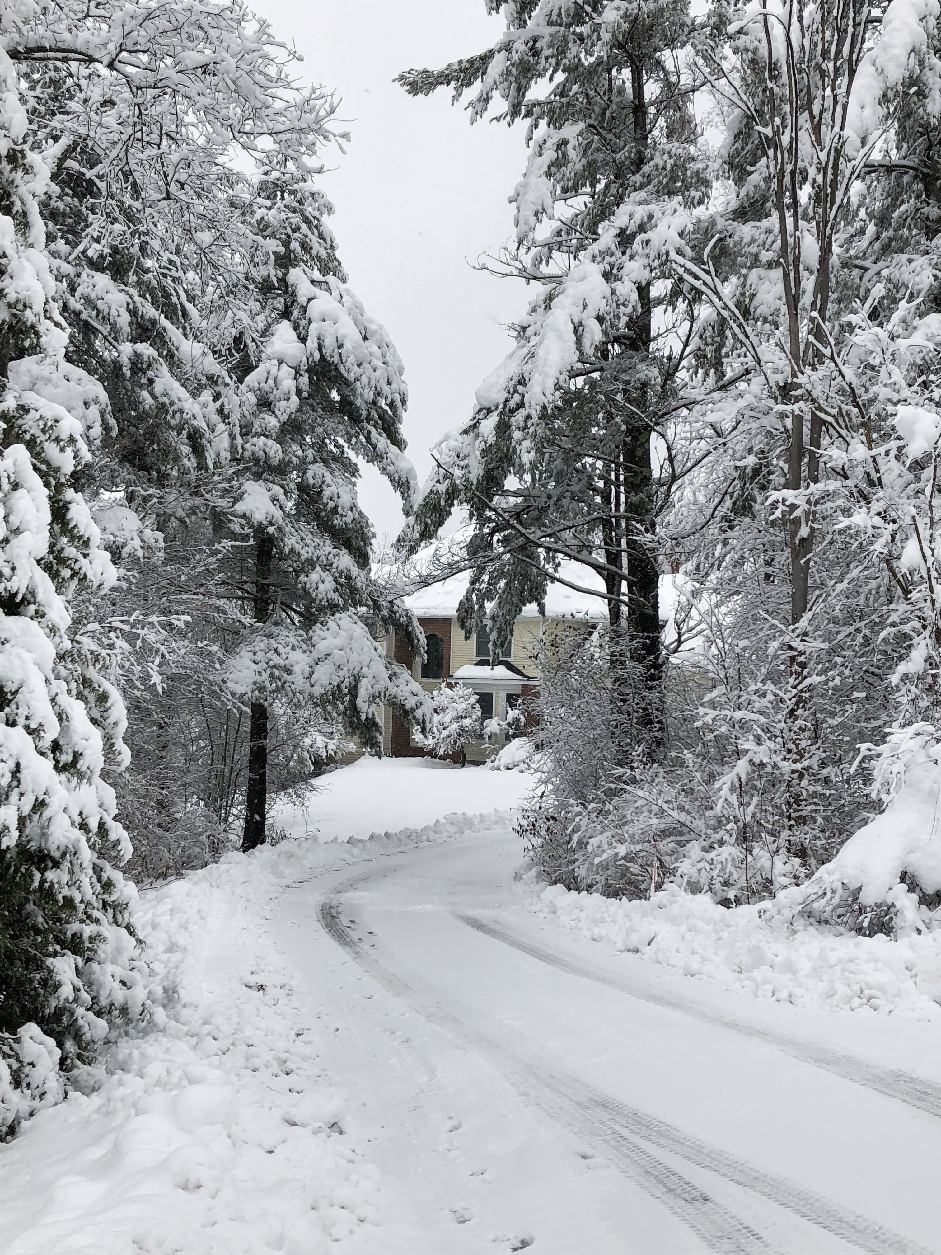 The Cold Truth About House Hunting in the Winter - 4 Challenges inception-app-prod/MDhhMjIxNzEtMmJlMy00MmZjLWE1MDItY2E0NmYzMjFhYTJh/content/2019/02/winter driveway-2.jpeg