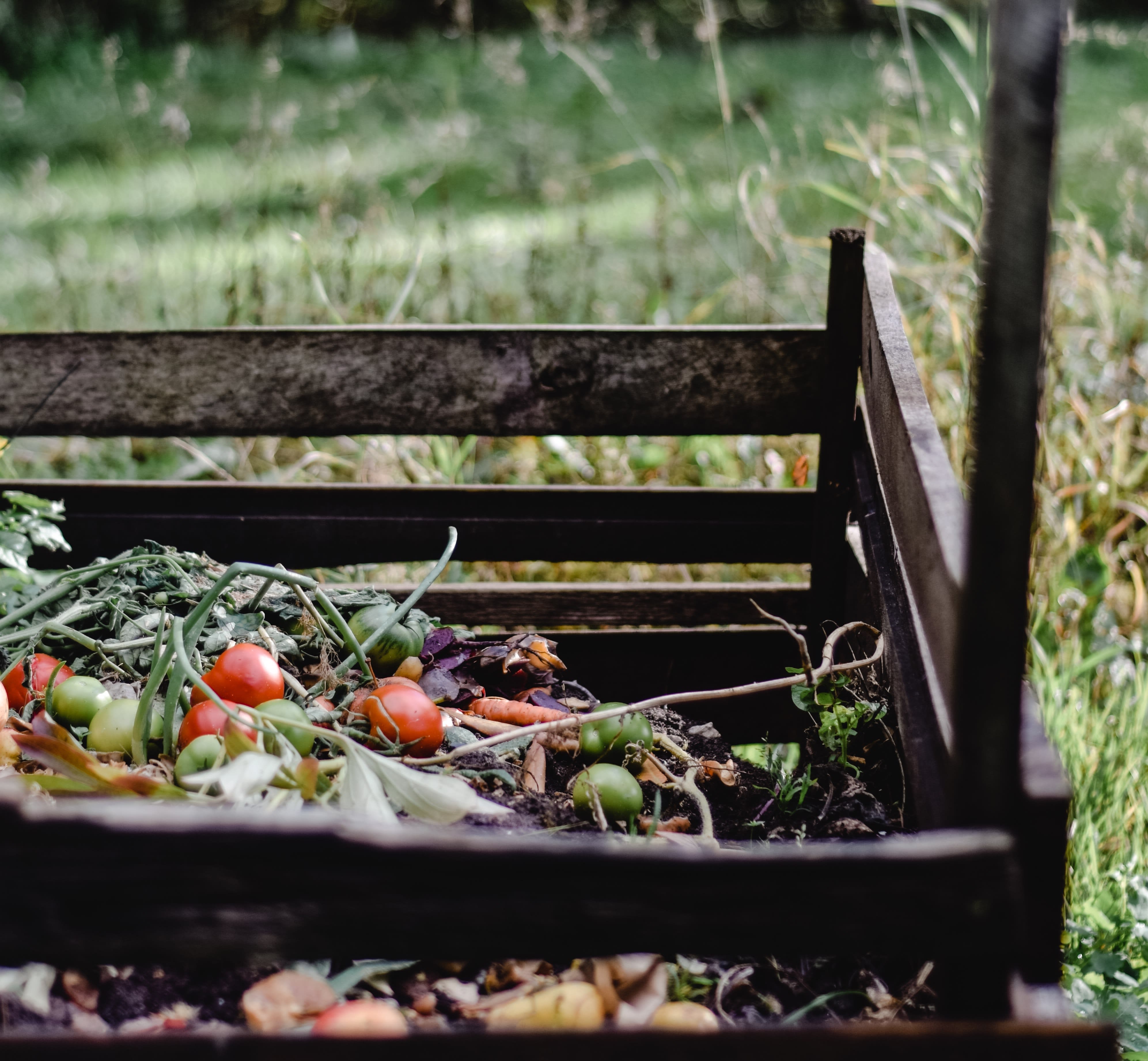 FAQ: Food Scraps, Compost, and Vermont's Universal Recycling Law inception-app-prod/MDhhMjIxNzEtMmJlMy00MmZjLWE1MDItY2E0NmYzMjFhYTJh/content/2021/12/7a228d2e2595b053b9e56abaac262fa4aa5df63a.jpeg