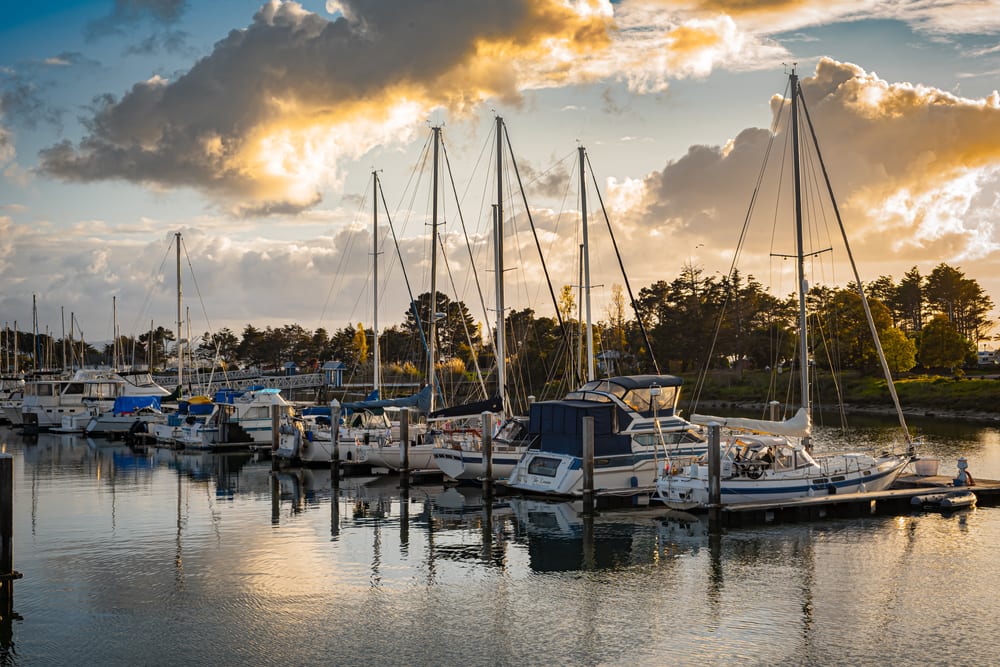 Emeryville inception-app-prod/MDhjMjFlMTgtZGZmMC00ZDFkLTk0MWQtNjRkOTQ4ZjVhYTZl/content/2025/03/0d04cfac0854d062e8c2b6c91f2d144fbcaab53d.jpg
