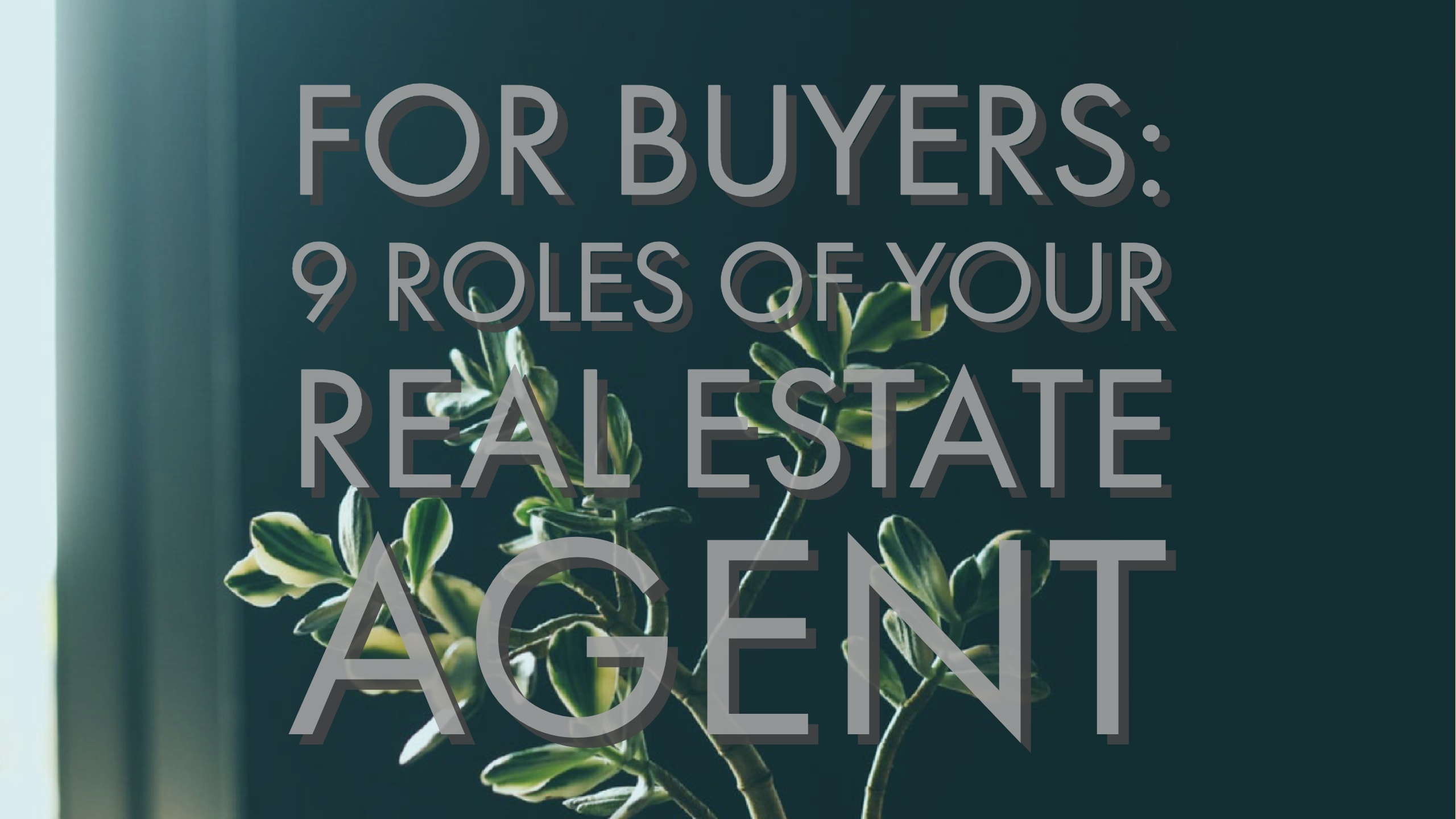 inception-app-prod/MDk5N2M0YzgtNWQ0Ny00NzZkLWI1ZjItYjZmYTk5YjJmYjA3/content/2017/12/Adobe Spark %2816%29.jpg